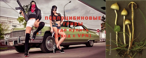 ГАЛЛЮЦИНОГЕННЫЕ ГРИБЫ Баксан